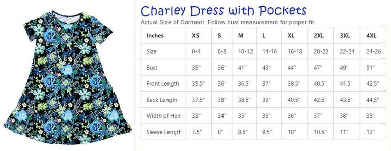 CP Spiderwebs Charley dress